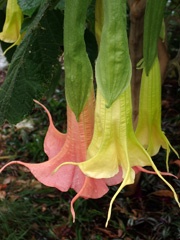 PB040956a.jpg